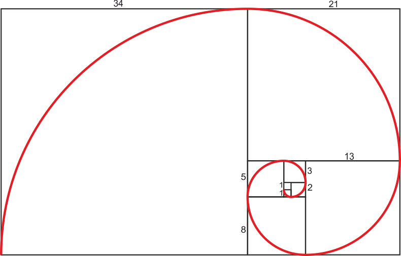 fibonacci sayısı ve altın oran ile ilgili görsel sonucu